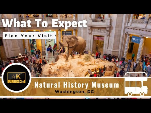 Natural History Museum - Full Tour - Washington, DC - Smithsonian 4K